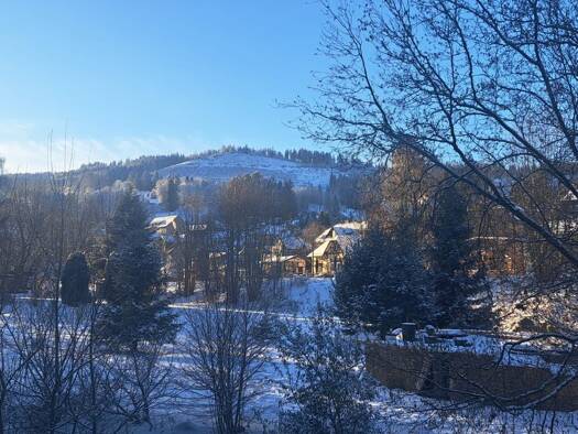 Wohnung zur Miete 580 € 2 Zimmer 75 m² Geschoss -1/3 frei ab 01.05.2026 Manebach Ilmenau 98693