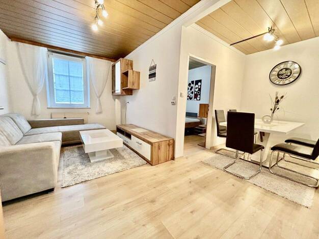 Wohnung zur Miete 1.600 € 3 Zimmer 60 m² EG Schwimmschulstraße 8 Steyr 4400