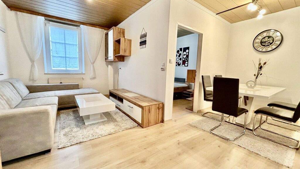 Wohnung zur Miete 1.600 € 3 Zimmer 60 m² EG Schwimmschulstraße 8 Steyr 4400