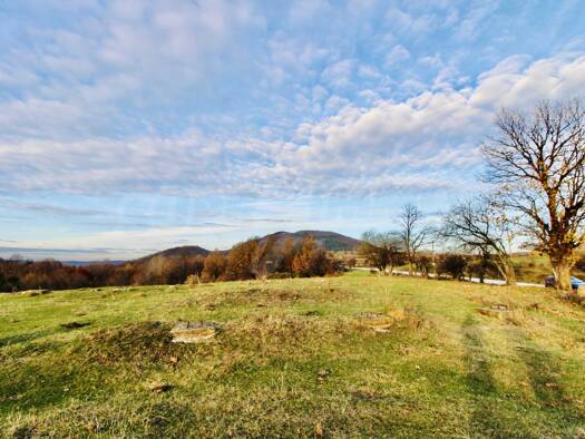 Land-/Forstwirtschaft zum Kauf 23.000 € Elena