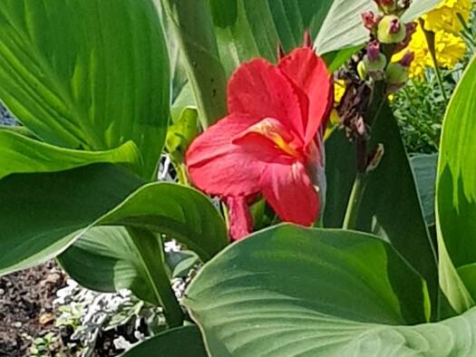 Wohnung zur Miete 650 € 3 Zimmer 72 m² Geschoss 2/3 frei ab sofort Mittelstraße 41 Klüsserath 54340