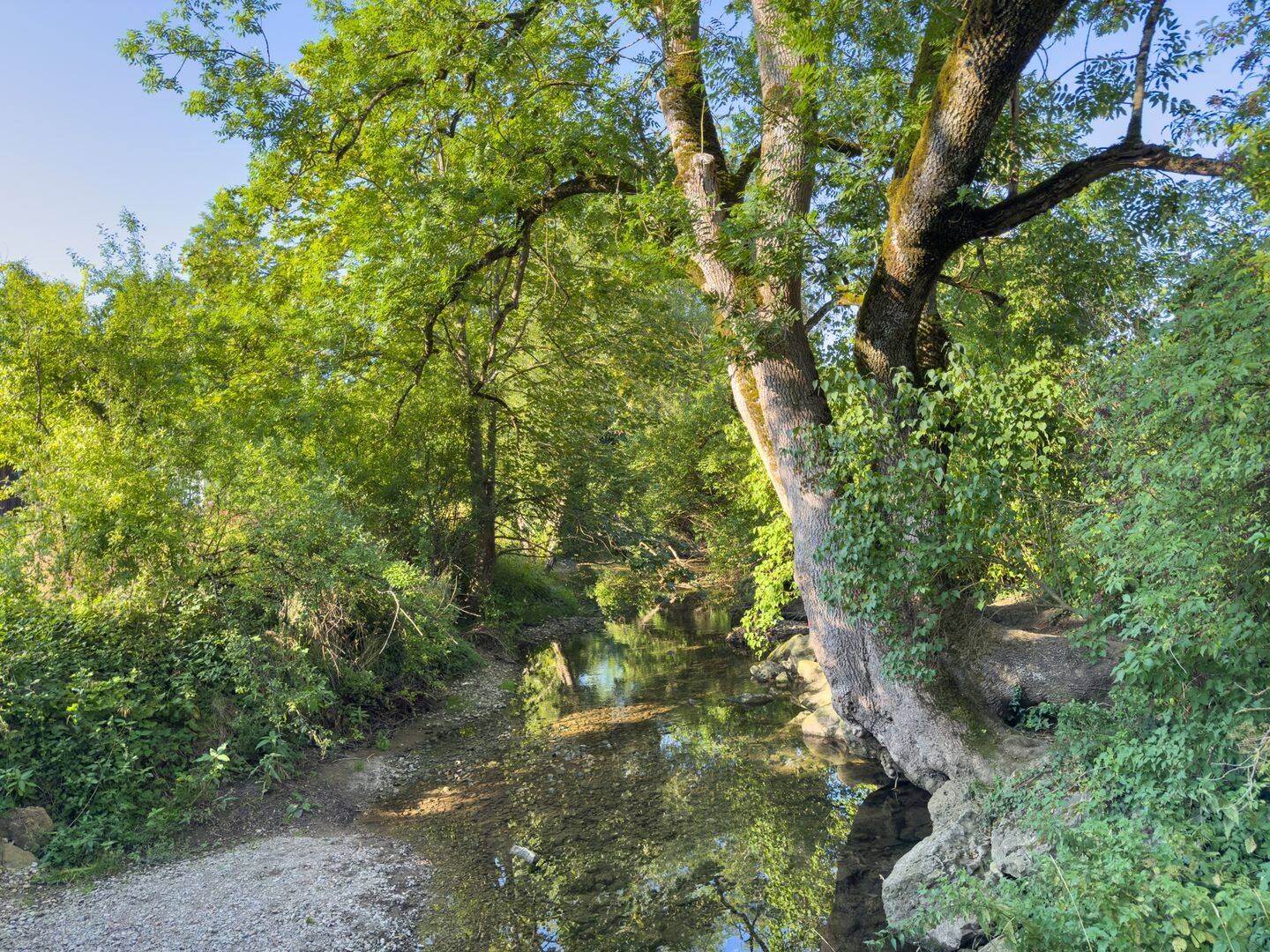 Immobilie in Deißlingen - Wohnglück am Neckar -  großzügiges Zweifamilienhaus in Bestlage - Bild 3