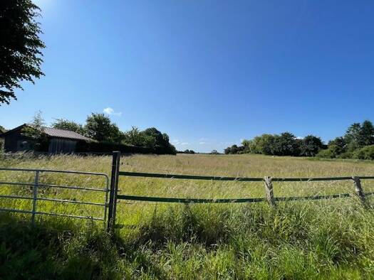 Grundstück zum Kauf 125.000 € 21.005 m² Grundstück Loose 24366