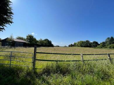 Grundstück zum Kauf 125.000 € 21.005 m² Grundstück Loose 24366