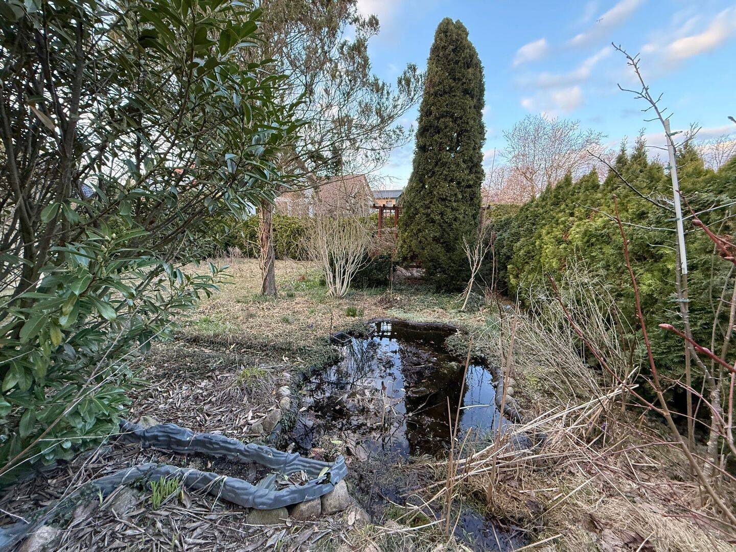 Einfamilienhaus zum Kauf - Ansicht 6