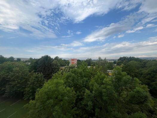 Wohnung zur Miete 329 € 3 Zimmer 60 m² 5. Geschoss frei ab sofort Dortmunder Straße 8 Neuplanitz Zwickau 08062
