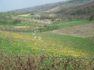 Land-/Forstwirtschaft zum Kauf 38.000 € Varazdin Breg 42204