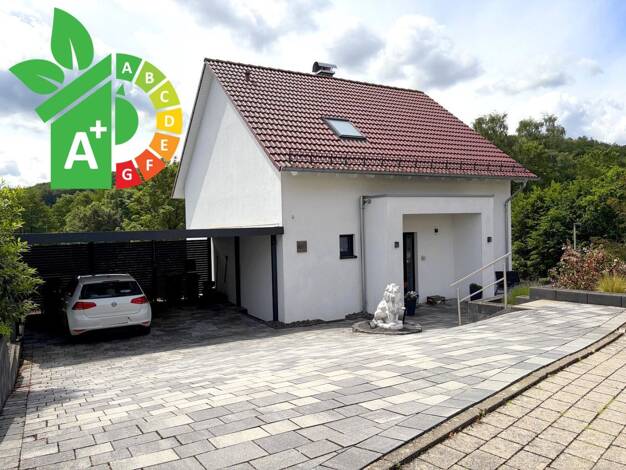 Einfamilienhaus zum Kauf 399.000 € 5 Zimmer 135 m² 561 m² Grundstück Siddinghausen Büren 33142