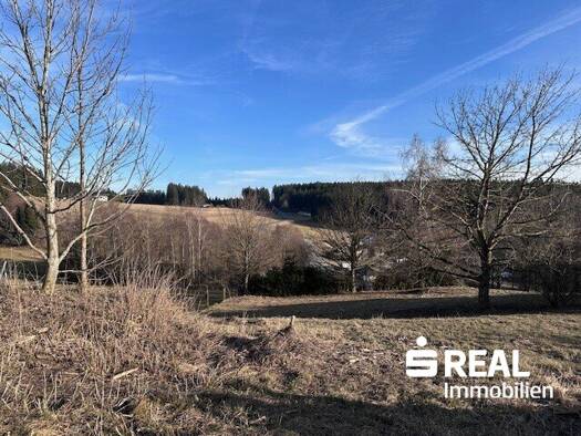 Grundstück zum Kauf 135.000 € 969 m² Grundstück Althellmonsödt 4202