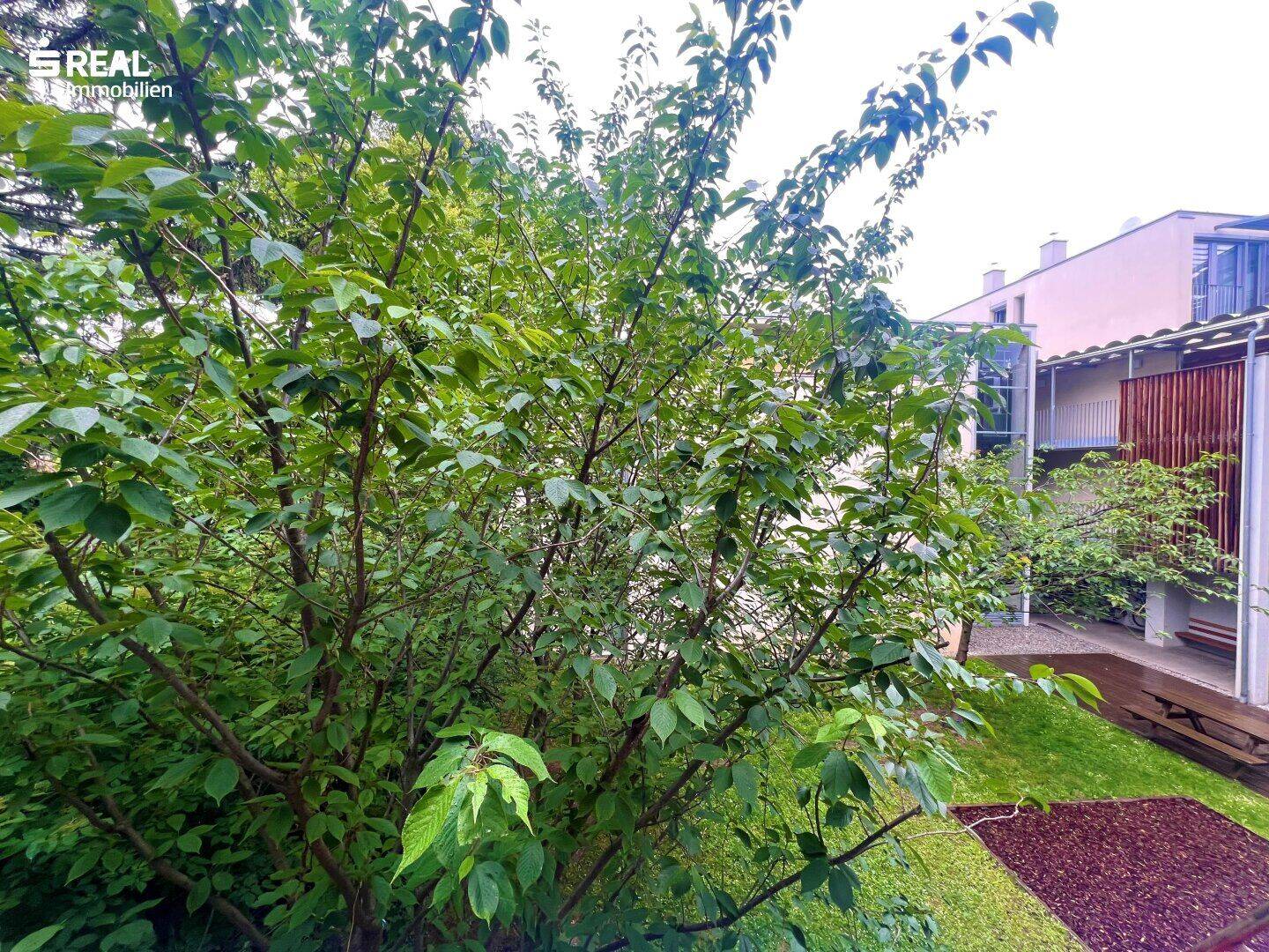 Wohnung – Floridsdorf - Ansicht 3