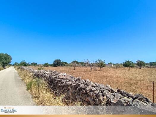 Land-/Forstwirtschaft zum Kauf 259.000 € 14.500 m² Grundstück Santa Margalida 07450