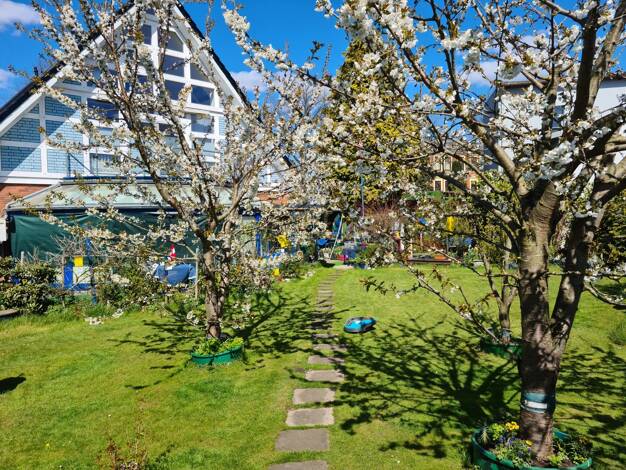 Mehrfamilienhaus zum Kauf 445.000 € 9 Zimmer 394,3 m² 1.181 m² Grundstück Bremerhaven 27572