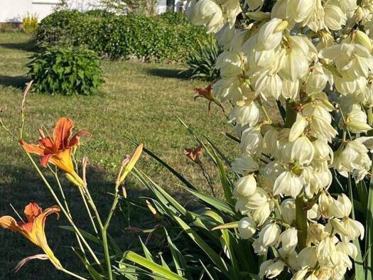 Haus zum Kauf 600.000 € 7 Zimmer 186 m² 1.683 m² Grundstück Groß Stieten 23972