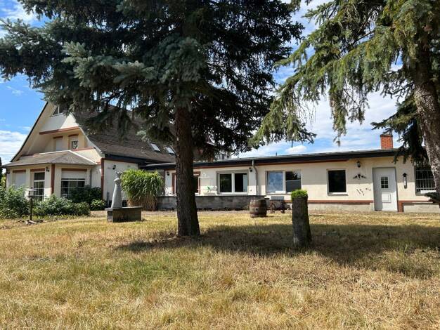 Einfamilienhaus zum Kauf 299.000 € 5 Zimmer 160 m² 1.221 m² Grundstück Berliner Chaussee Magdeburg 39114