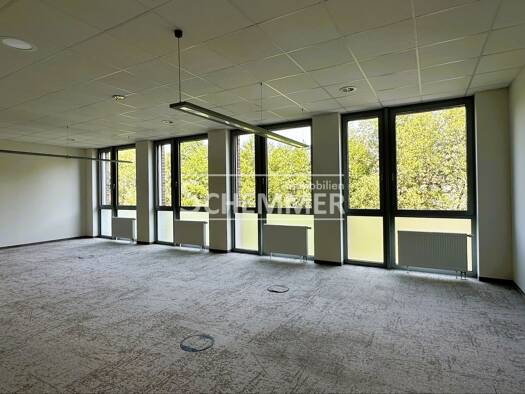 Bürofläche zur Miete 16 € 6,5 Zimmer 325,2 m² Bürofläche Wiehre Süd 79100