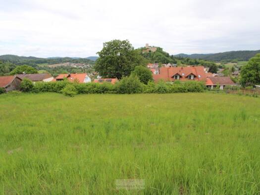 Grundstück zum Kauf 199.000 € 956 m² Grundstück Falkenstein Falkenstein 93167