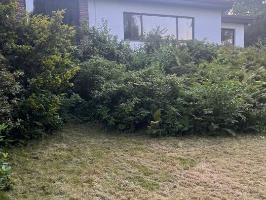 Einfamilienhaus zur Miete 1.400 € 4 Zimmer 140 m² 2.333 m² Grundstück frei ab sofort Wichmannsburg Bienenbüttel 29553
