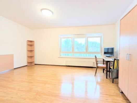 Wohnung zur Miete 440 € 1 Zimmer 34 m² 3. Geschoss Pittersdorf Hummeltal 95503