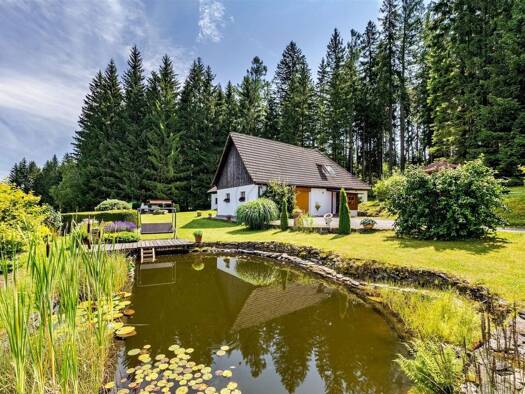 Einfamilienhaus zum Kauf 745.800 € 7 Zimmer 294 m² 27.142 m² Grundstück Frymburk 38279