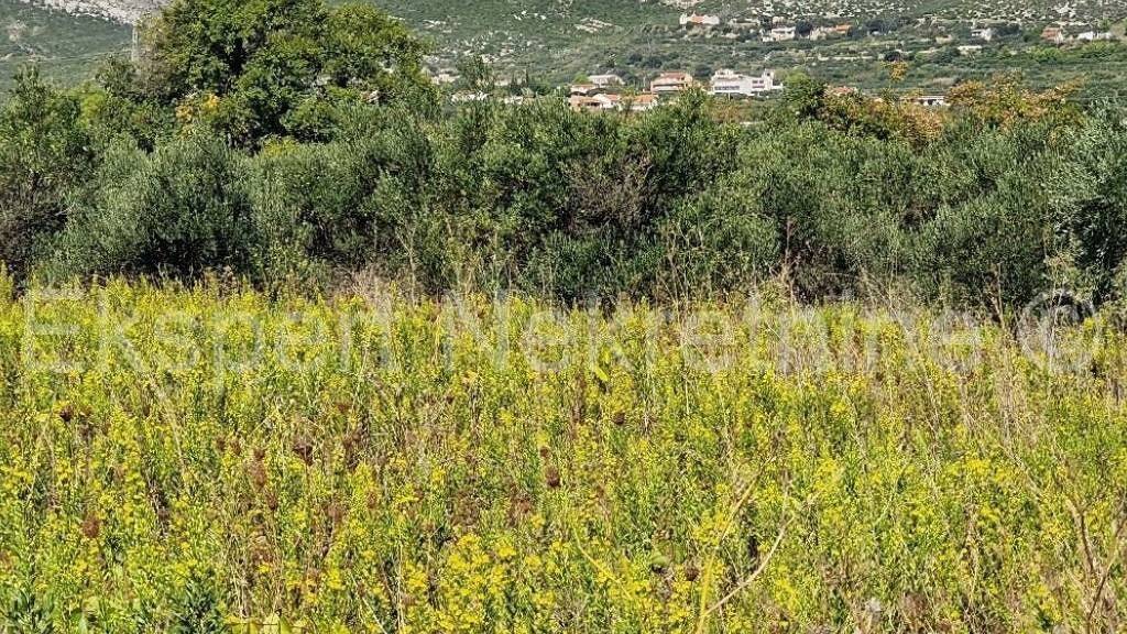 Land-/Forstwirtschaft zum Kauf 306.000 € Trogir