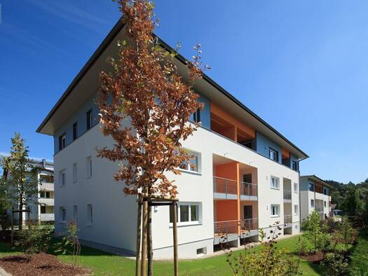 Wohnung zur Miete 468 € 3 Zimmer Zellerstraße 44 Riedau 4752