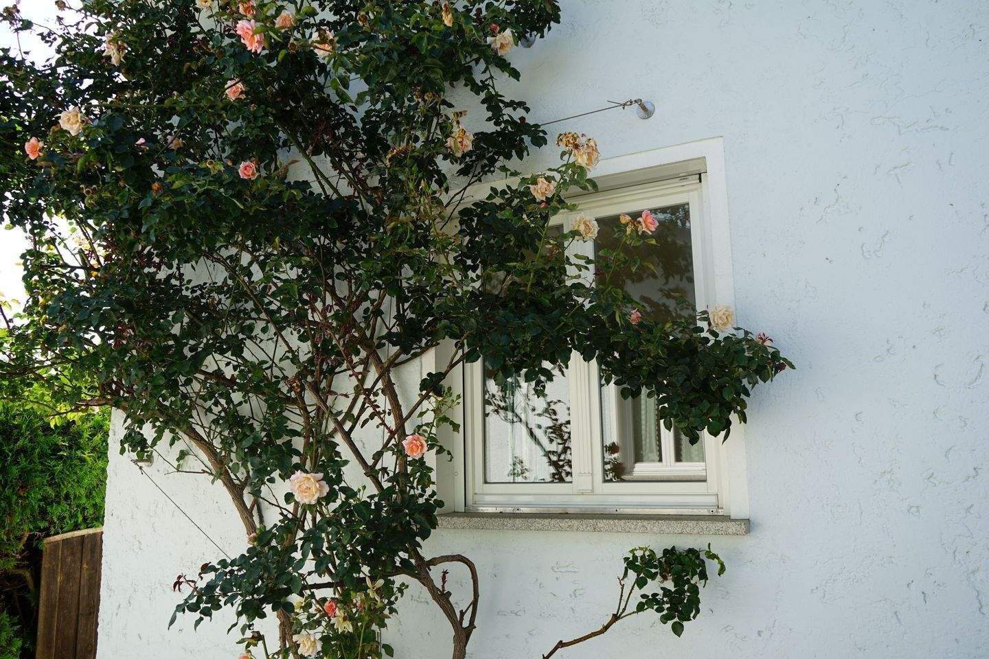 Immobilie in Waldkirchen -  Hier stimmt Preis & Leistung / Schmuckes Landhaus  OT Waldkirchen - Bild 0