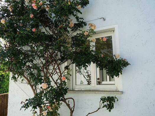 Einfamilienhaus zum Kauf als Kapitalanlage geeignet 259.000 € 4 Zimmer 120 m² 1.191 m² Grundstück Mitterleinbach Waldkirchen 94065