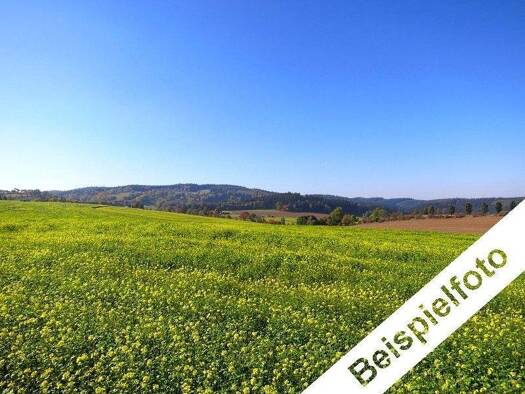 Land-/Forstwirtschaft zum Kauf 535.000 € 187.084 m² Grundstück Oberweissach Weissach im Tal 71554