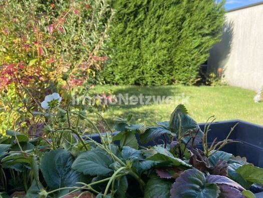 Reihenendhaus zum Kauf 389.990 € 4 Zimmer 136,4 m² 425,3 m² Grundstück Innenstadt Euskirchen 53879