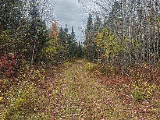 Grundstück zum Kauf 29.900 € 100.000 m² Grundstück Westfield-Collette Road Napan Miramichi