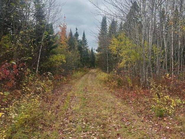 Grundstück zum Kauf provisionsfrei 29.900 € 100.000 m² Grundstück Westfield-Collette Road Napan Miramichi