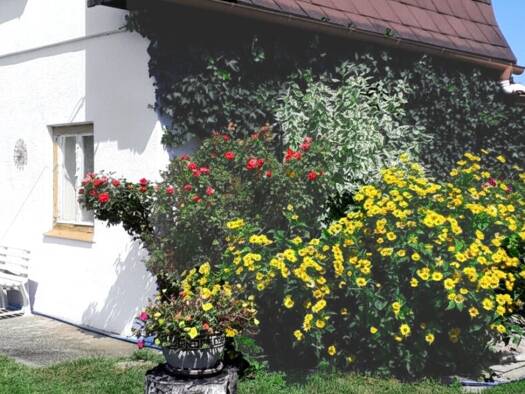 Grundstück zum Kauf 569.000 € 487 m² Grundstück Wien 1220