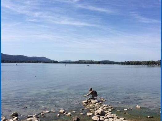 Wohnung zum Kauf Radolfzell Radolfzell am Bodensee 78315