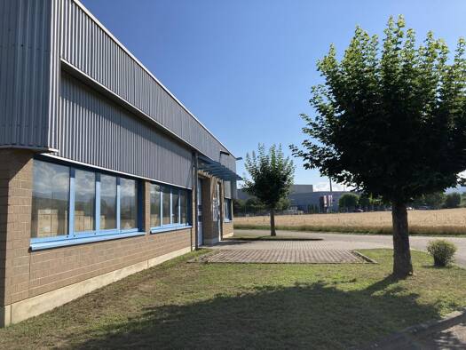 Büro zur Miete provisionsfrei 4.500 € 1 Zimmer 600 m² Bürofläche Müllheim Müllheim im Markgräflerland 79379