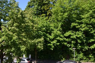 Wohnung zum Kauf 299.000 € 2 Zimmer 73 m² 1. Geschoss frei ab sofort Freilassing Freilassing 83395