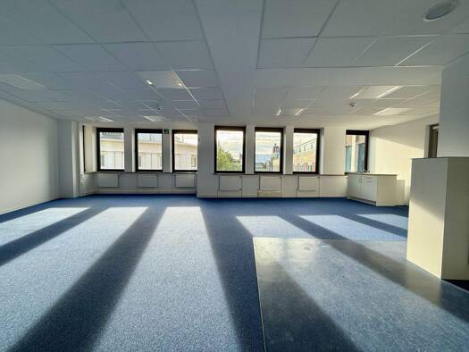 Bürofläche zur Miete 2.470 € 380 m² Bürofläche Altstadt Bremen 28195