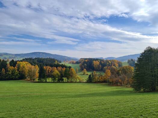 Grundstück zum Kauf 98.900 € 773 m² Grundstück Neurandsberg Rattenberg 94371