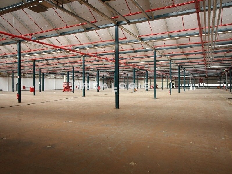 Halle/Industriefläche zur Miete 6.400 m²<br/>Lagerfläche ab 1.400 m²<br/>Teilbarkeit Biene Lingen 49808