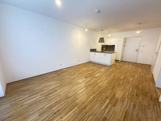 Wohnung zur Miete 527 € 2 Zimmer 44,9 m² St. Pölten 3100