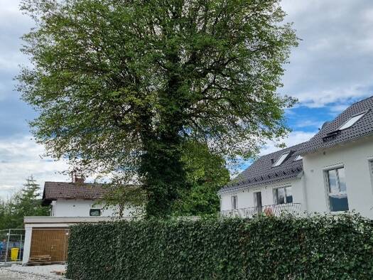 Terrassenwohnung zum Kauf provisionsfrei 448.500 € 2 Zimmer 57 m² frei ab sofort Murnau Murnau am Staffelsee 82418