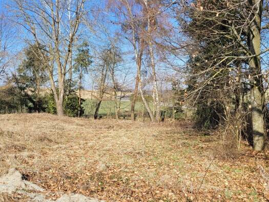 Grundstück zum Kauf provisionsfrei 320.000 € 1.078 m² Grundstück Maierholz Altfraunhofen 84169