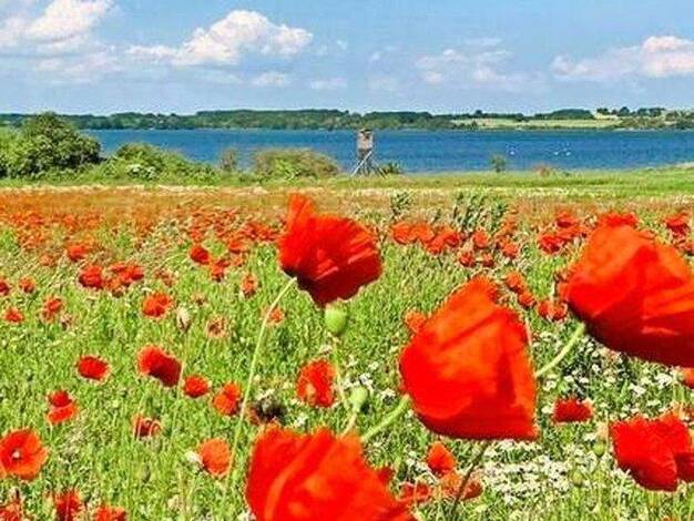 Einfamilienhaus zum Kauf provisionsfrei 1.800.000 € 10 Zimmer 720 m² 20.000 m² Grundstück Kaltenhof Nordwestmecklenburg - Landkreis - Dassow 23942