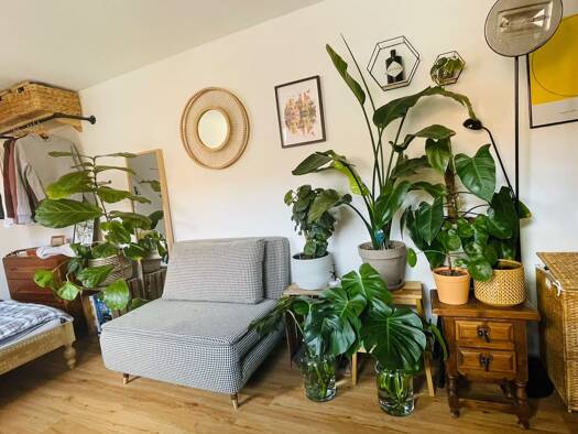 Studio zum Kauf provisionsfrei 159.000 € 1 Zimmer 21 m² Geschoss 2/3 frei ab 01.12.2026 Westliche Stadtmauerstraße 50 Innenstadt Erlangen 91054
