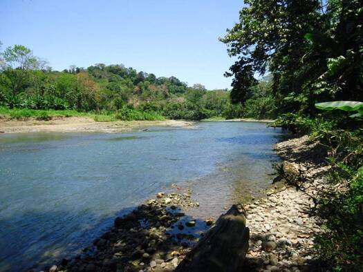 Studio zum Kauf 1.691.191 € Desde cruce de Penshurst  tomar vía asfaltada haci Limón Limón Limón Valle de la Estrella