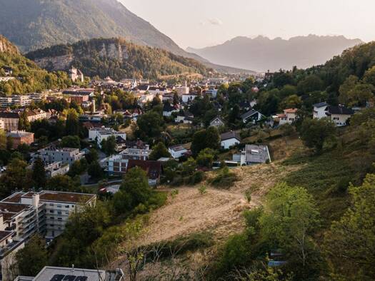 Grundstück zum Kauf 3.500.000 € 11.390 m² Grundstück Mutterstraße Feldkirch 6800