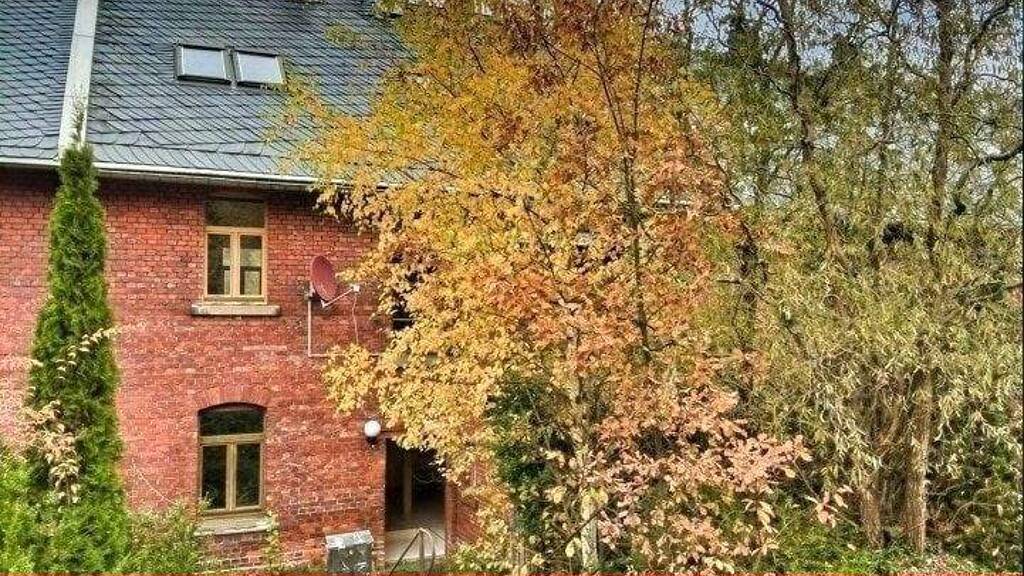 Reihenmittelhaus zum Kauf 87.000 € 6 Zimmer 170 m² 347 m² Grundstück Tannenbergsthal Muldenhammer 08262
