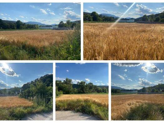 Grundstück zum Kauf 165.000 € 817 m² Grundstück Markt Piesting 2753