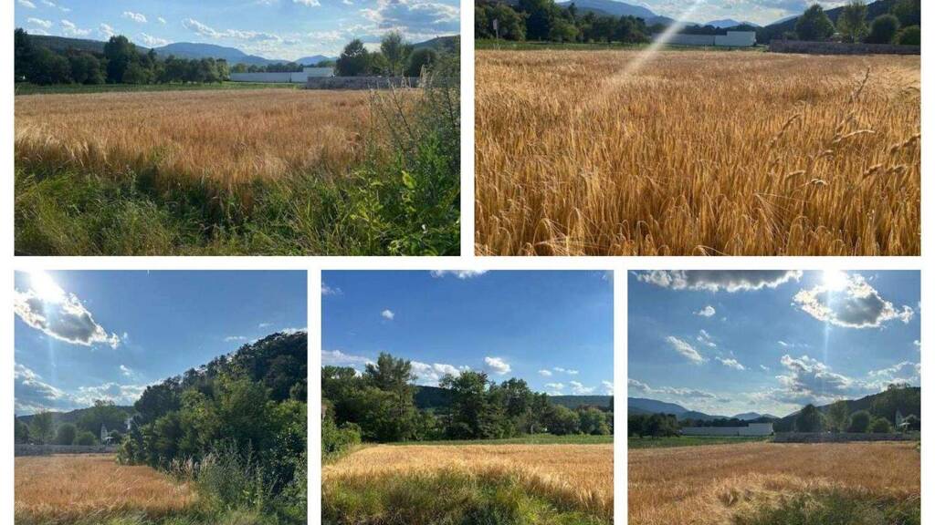 Grundstück zum Kauf 165.000 € 817 m² Grundstück Markt Piesting 2753