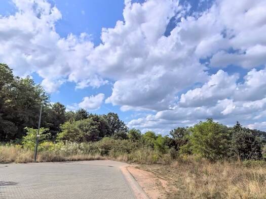 Grundstück zum Kauf provisionsfrei 298.000 € 1.674 m² Grundstück Abt-Wolfram-Straße Wadgassen 66787