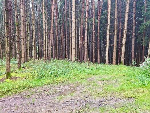 Land-/Forstwirtschaft zum Kauf 75.000 € 23.650 m² Grundstück Geiselloh Pleiskirchen 84568